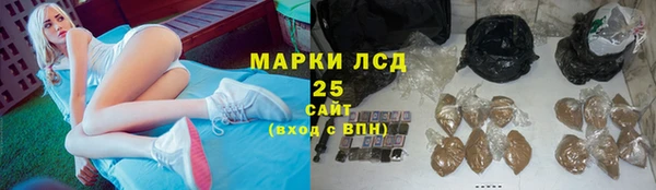 ГАЛЛЮЦИНОГЕННЫЕ ГРИБЫ Карталы