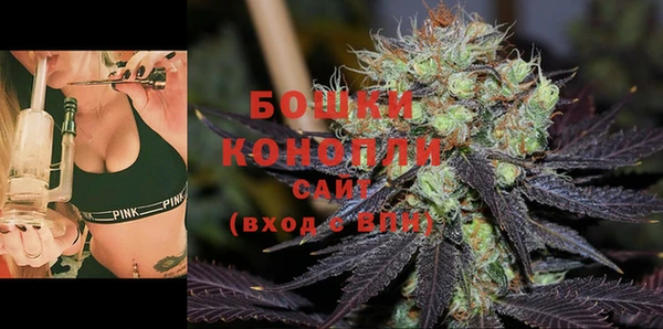 ГАЛЛЮЦИНОГЕННЫЕ ГРИБЫ Карталы