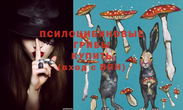 ECSTASY Карпинск