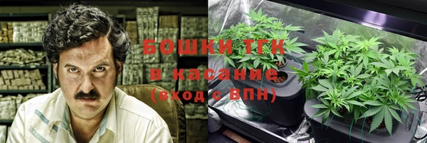 прущие грибы Киренск