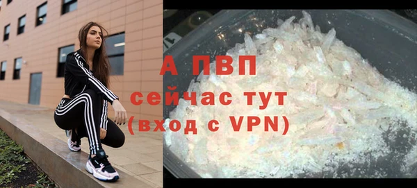 ГАЛЛЮЦИНОГЕННЫЕ ГРИБЫ Карталы