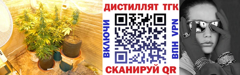 ТГК Wax  Купить где  Россошь 