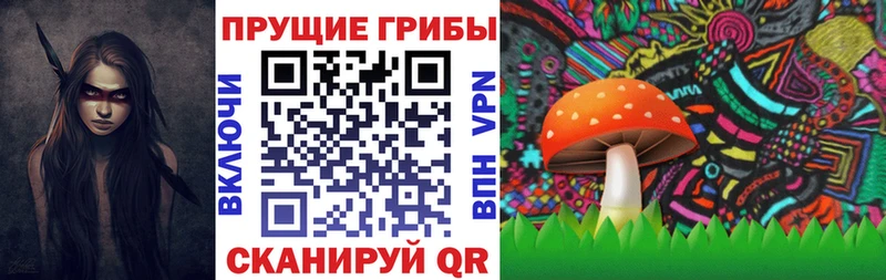 Галлюциногенные грибы Psilocybe  Купить закладки  Россошь 